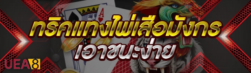 ทริคแทงไพ่เสือมังกร
