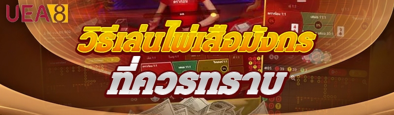 วิธีเล่นไพ่เสือมังกร