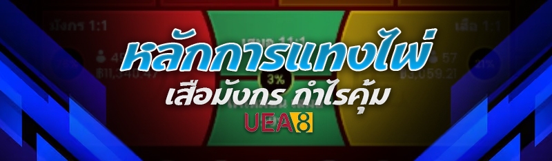 หลักการแทงไพ่เสือมังกร