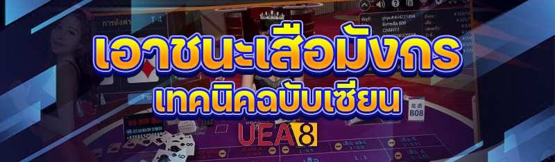 เอาชนะเสือมังกร