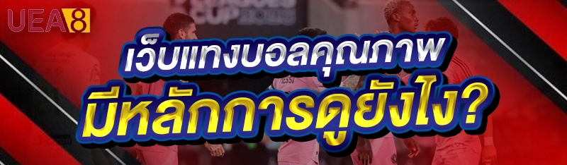 เว็บแทงบอลคุณภาพ